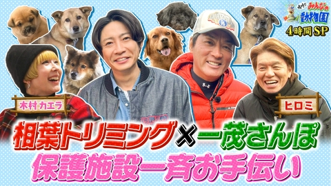 嗚呼!!みんなの動物園 相葉トリミング×一茂さんぽ　コラボスペシャル！