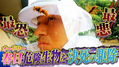 迷惑生物から住民を守れ！凄腕！危険生物バスターズ 凶暴スズメバチ＆巨大猛獣vs日本No.1スゴ腕！ 危険生物バスターズ２