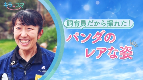 ウチ、“断捨離”しました！ 5月6日(火)放送分 「“片づけ妻”の新たな