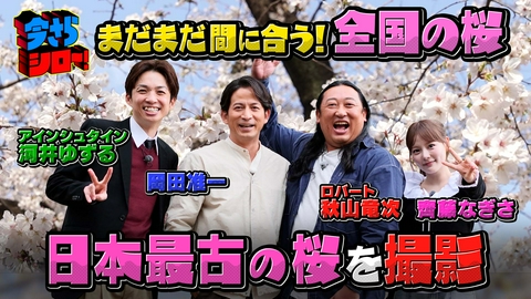 今さらシロー！～テストに出ないが役に立つ～ 岡田准一＆ロバート秋山と日本の心・桜をシロー！