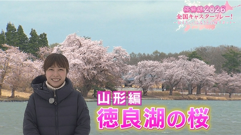 桜前線2026 全国キャスターリレー！ ～伝えたい！ふるさとの桜スポット～ 山形編「尾花沢市・徳良湖の桜」