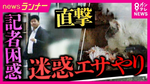 newsランナー 【直撃】記者も困惑…迷惑エサやり「頼まれて、ここだけ」敷地内にまでエサが…住宅街でも広がる被害　“悪質なエサやり”は50万円以下の罰金に　法的責任の線引きは？