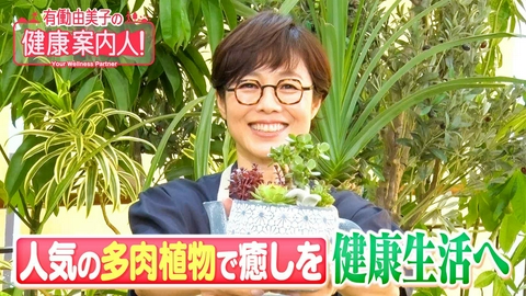 有働由美子の健康案内人！ 人気の多肉植物で癒しを…健康生活へ