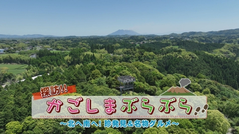 どーんと鹿児島 探訪！！かごしまぶらぶら～北へ南へ！珍発見＆名物グルメ～
