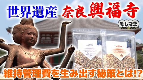 日経スペシャル　もしものマネー道　もしマネ 世界遺産・奈良「興福寺」にもマネーの悩みが⁉文化財を守る驚きの秘策