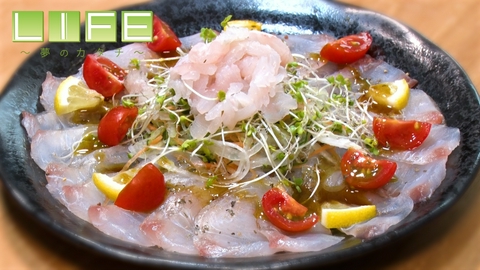 LIFE～夢のカタチ～ 釣って楽しい食べて美味しい！魚の魅力を広める釣りガール