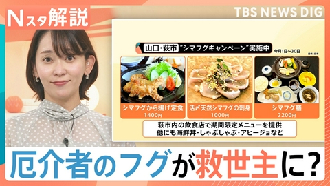TBS NEWS DIG Powered by JNN なぜ“高級魚”フグがお手頃に？【Nスタ】