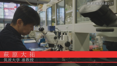 探究の階段 麹菌で作る代替プロテイン／萩原大祐（筑波大学 准教授）