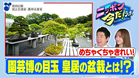 ニッポン 今だ！ラボ 横浜グリーンエクスポ（後編）