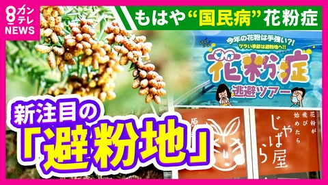 newsランナー 経済損失は1日2450億円　「花粉症」との戦い　国の対策“小花粉スギ”の拡大　新しいライフスタイル「花粉を避ける」“避紛地”も