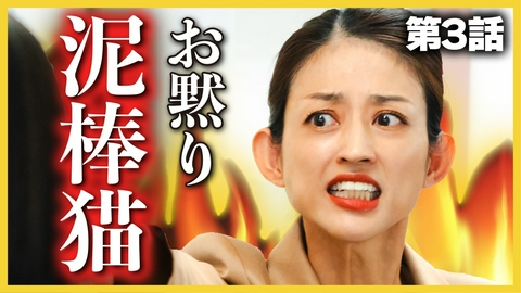 こんなところで裏切り飯～嵐を呼ぶ七人の役員～ 第３話「花巻で餃子」
