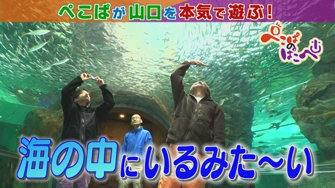 ぺこぱのぱこぺ 下関・海響館＆くじら料理を満喫！