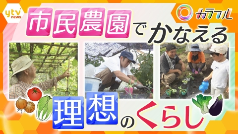 厳選！ytvニュース特集 “野菜づくり”が人生を彩る　市民農園でかなえる理想の暮らしのカタチ【かんさい情報ネット ten.特集/カラフル】