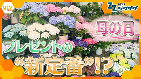 サタデーLIVE ニュース ジグザグ 「母の日」の“定番”が変わった？！意外なものが急浮上【ニュース ジグザグ】