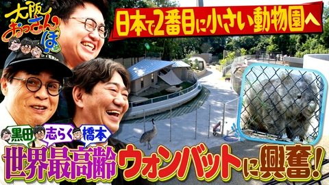 大阪おっさんぽ ▼激カワ！37歳のウォンバット▼森の中にある大人気カフェ▼盆栽に挑戦！