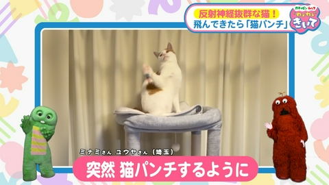 ガチャピン・ムック ねぇねぇきいて 第23回 飛んできたものを猫パンチ！