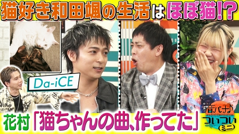 音バナ♪ついついミニ 【Da-iCE 花村想太＆和田颯】さらば森田も共感！猫あるある！