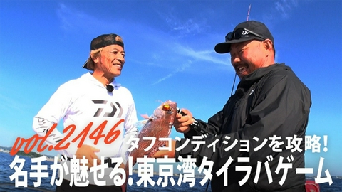 THEフィッシング タフコンディションを攻略！名手が魅せる！東京湾タイラバゲーム