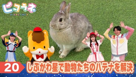 ピコラネ Episode20 しぶかわ星で動物たちのハテナを解決