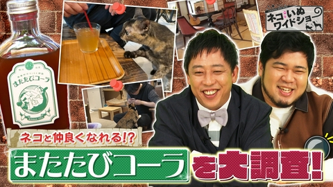ネコいぬワイドショー ネコいぬ調査隊！話題の「またたびコーラ」でネコにモテる!?/殺処分激減 京都動物愛護センターの挑戦