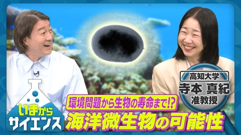 いまからサイエンス 環境問題解決を目指す！可能性を秘めた海洋微生物の力 寺本真紀（高知大学農林海洋科学部准教授）