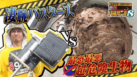 迷惑生物から住民を守れ！凄腕！危険生物バスターズ 危険生物バスターズ8★今ヤバい！猛毒スズメバチvs凄腕バスターSP