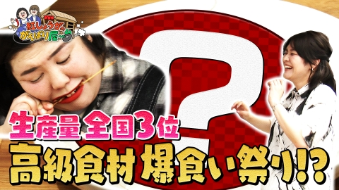 紅しょうがのがんばり屋～台 めざせ！熊本のプロです｜バラエティ