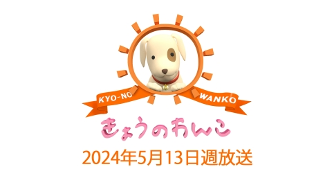 きょうのわんこ 2024/05/13週放送 ｜バラエティ｜見逃し無料配信はTVer