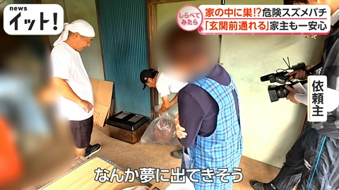 【しらべてみたら】Live News イット！特集 長雨で異変！危険“殺人バチ”が住宅街に！？