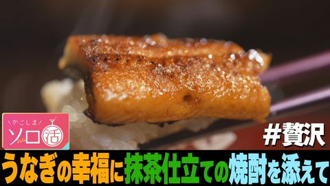 かごしまソロ活 うなぎの幸福に抹茶仕立ての焼酎を添えて