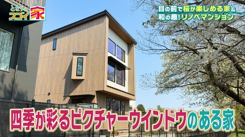 となりのスゴイ家 20帖LDK桜を楽しむ4つのピクチャー窓▼和のリノベマンション