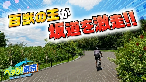 ペダる！東京 武井壮が全力ダッシュ！その先に待つ景色と臨海エリアの名所を巡る