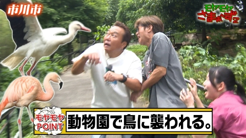 モヤモヤさまぁ～ず2 6月15日(土)放送分 千葉県・市川市