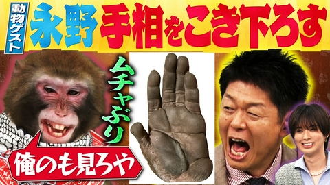 人間研究所 ～かわいいホモサピ大集合!!～ 【波乱】永野が手相占い族・島田に噛みつく「ＶＴＲが長げぇ」収録不能！？テレビ史上初の動物手相占いも！