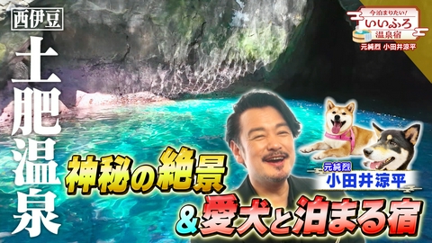 今泊まりたい！いいふろ温泉宿 ！西伊豆！青の洞窟と伝統の味に感動！愛犬大満足の温泉宿！