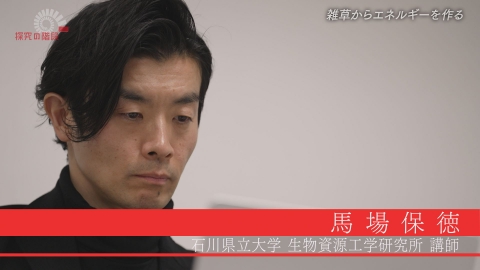 探究の階段 雑草エネルギーで災害に備える／馬場保徳（石川県立大学 講師）