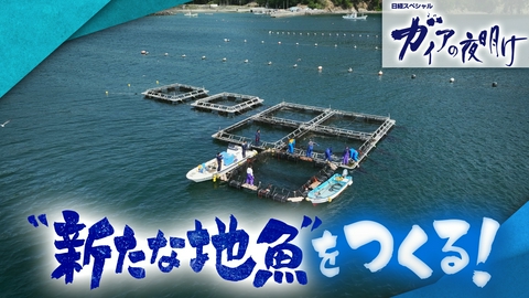 ガイアの夜明け 【“新しい地魚”をつくる！】コンビニも注目するギンザケとは
