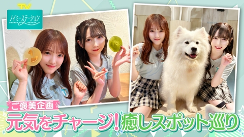 ノイミーステーションTV 【元気をチャージ！癒しスポット巡り！】