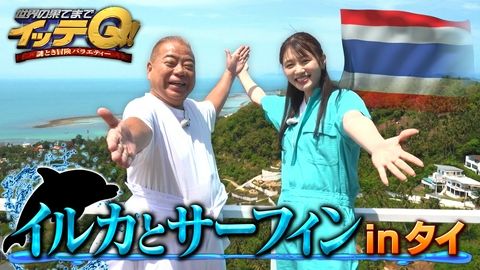 世界の果てまでイッテQ！ 【出川&塚本】野生イルカと夢の並走【Qtube】音楽の都ウィーンへ