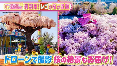 アッコにおまかせ！ レゴサクラツリー＆桜の絶景ドローン映像