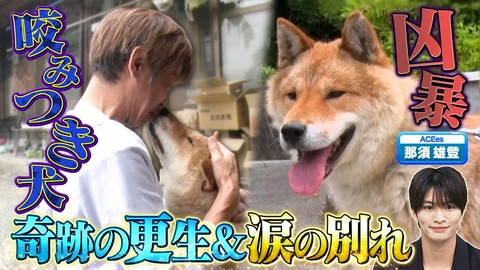坂上どうぶつ王国 ワケあり傷心犬たち専用施設！念願の譲渡挑戦