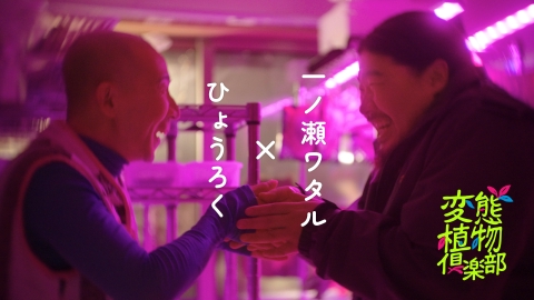 変態植物俱楽部 【予告】ひょうろく解禁！12月5日（金）深夜スタート