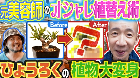 変態植物倶楽部 鉢を買う！アートな植え替え処・芽の巣山
