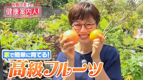 有働由美子の健康案内人！ 家で簡単に育てる！高級フルーツ