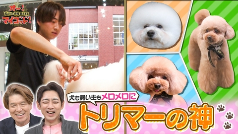 オー！マイゴッド！私だけの神様、教えます 犬も飼い主もメロメロ!トリマーの神&ヒロミ大絶賛の神つけ麺