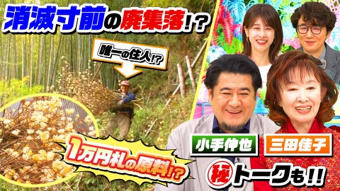 ナゼそこ？＋ 高知・愛媛の県境…消滅寸前の廃集落たった一人暮らす（秘）未確認日本人