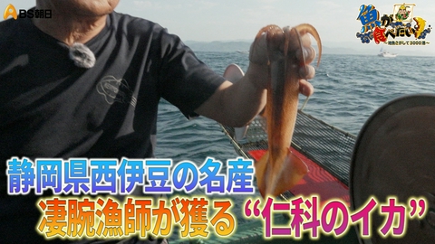 魚が食べたい！ ～地魚さがして3000港～ いか様丼にいか様餃子!?西伊豆の漁に密着！