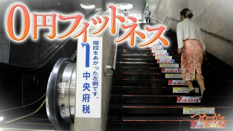 つながる～enn File027・「薬局を学問する」シリーズ⑤『０円フィットネス』◆日々の生活に＋α、いつしか健康に！
