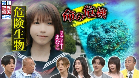 ザ!世界仰天ニュース 身近な危険生物…女子高生の体内で成長!白く長い(秘)生物▽最強の毒魚