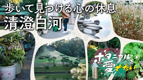 ボタニカルを愛でたい 清澄白河